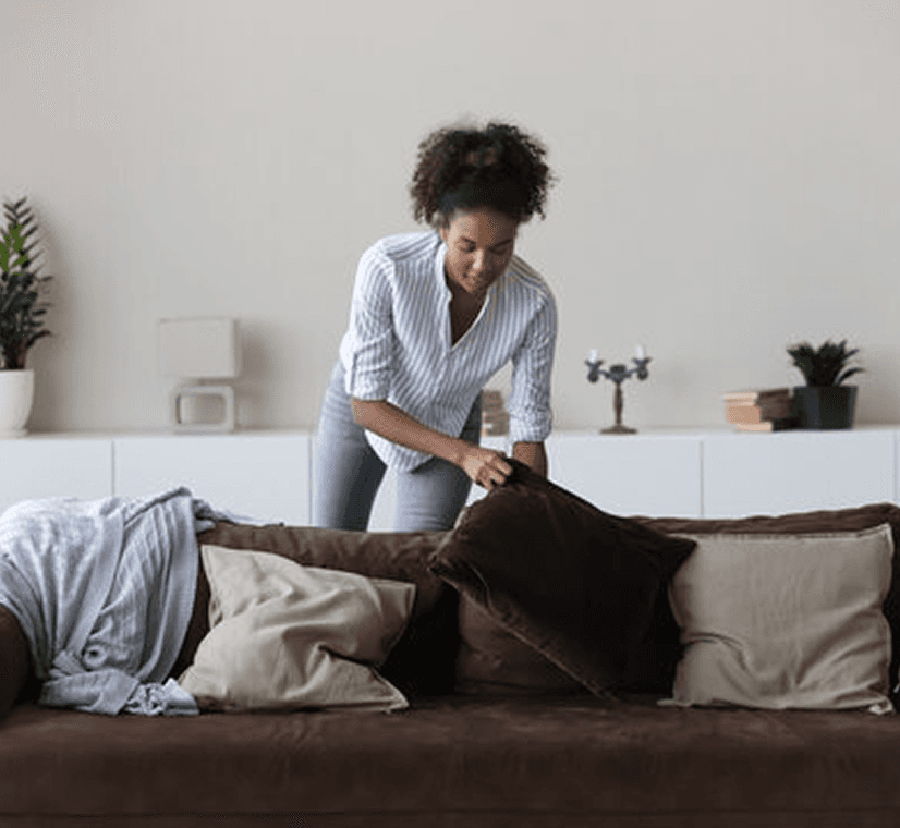 Standard Cleaning Service